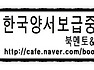 어린이 동화작가 문영숙 소설가님의 작품