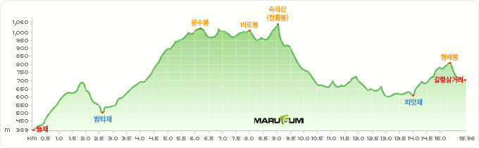 화려한외출 이미지