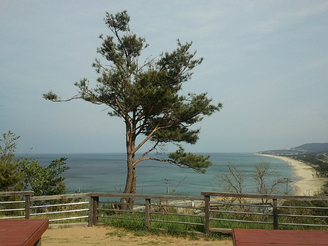 정동진 ~~