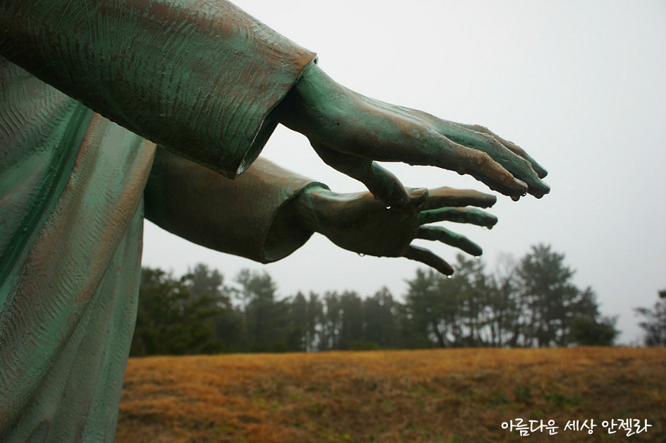 새미새 이미지