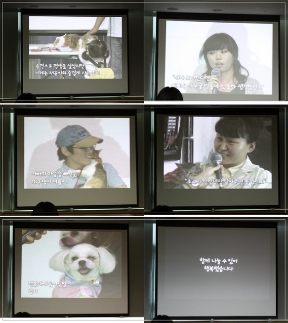 유기동물 입양 이야기를 들려주세요..