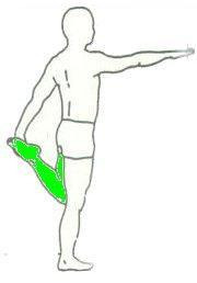 무릎연골 강화법 