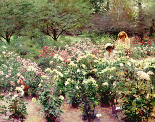 11350408493323A50F695D