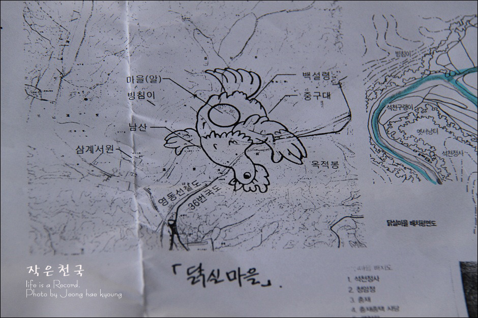 황금닭 이미지