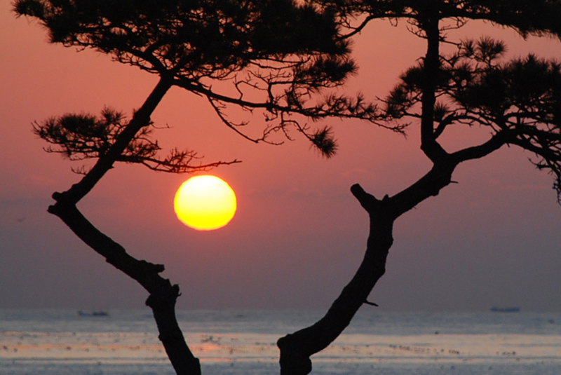 115CDA05493864A9019745