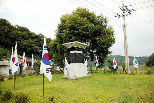 유일하계 이미지