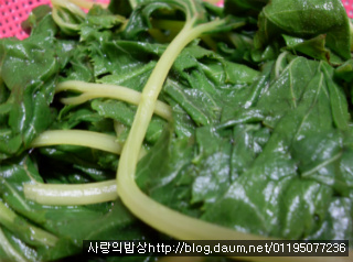 바쁜아침 반찬걱정은 끝! 6가지 환상의 봄나물 무침세트>_
