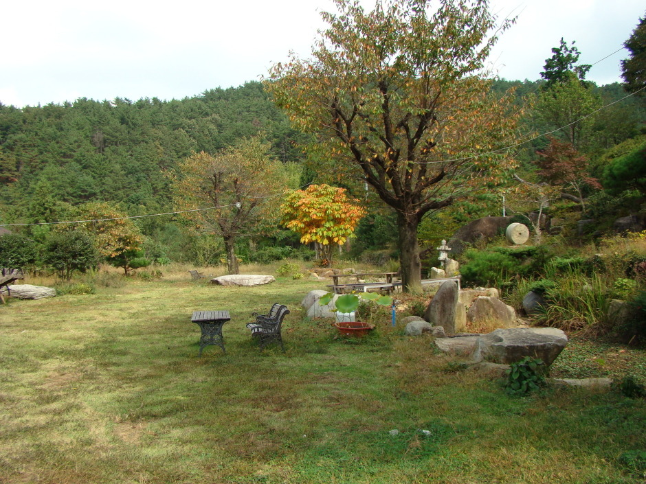 녹차향 그윽한 만화방초