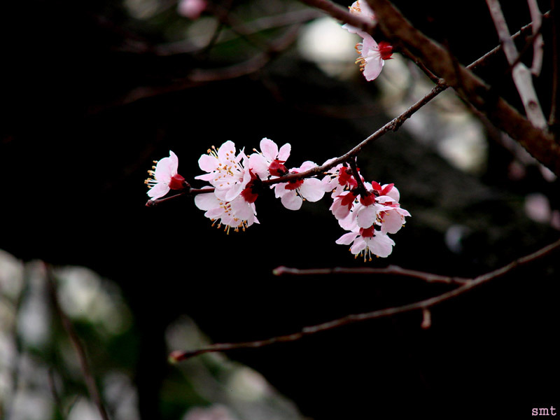바람내음 이미지