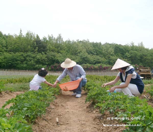 포토인 이미지