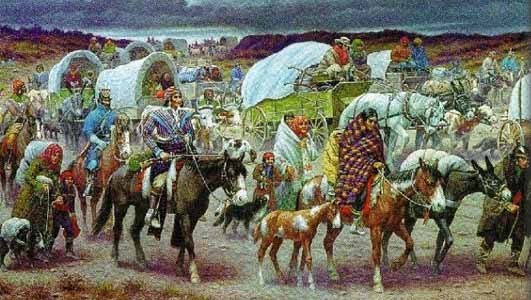 체로키 인디언들의 슬픈 사연과 그레이트 스모키 마운틴의 마지막 단풍 