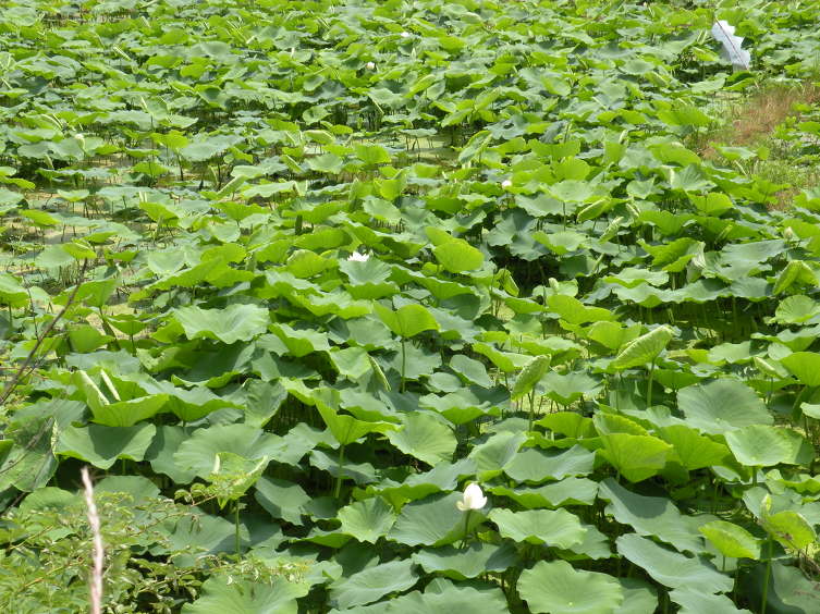 합천군산림조합 이미지