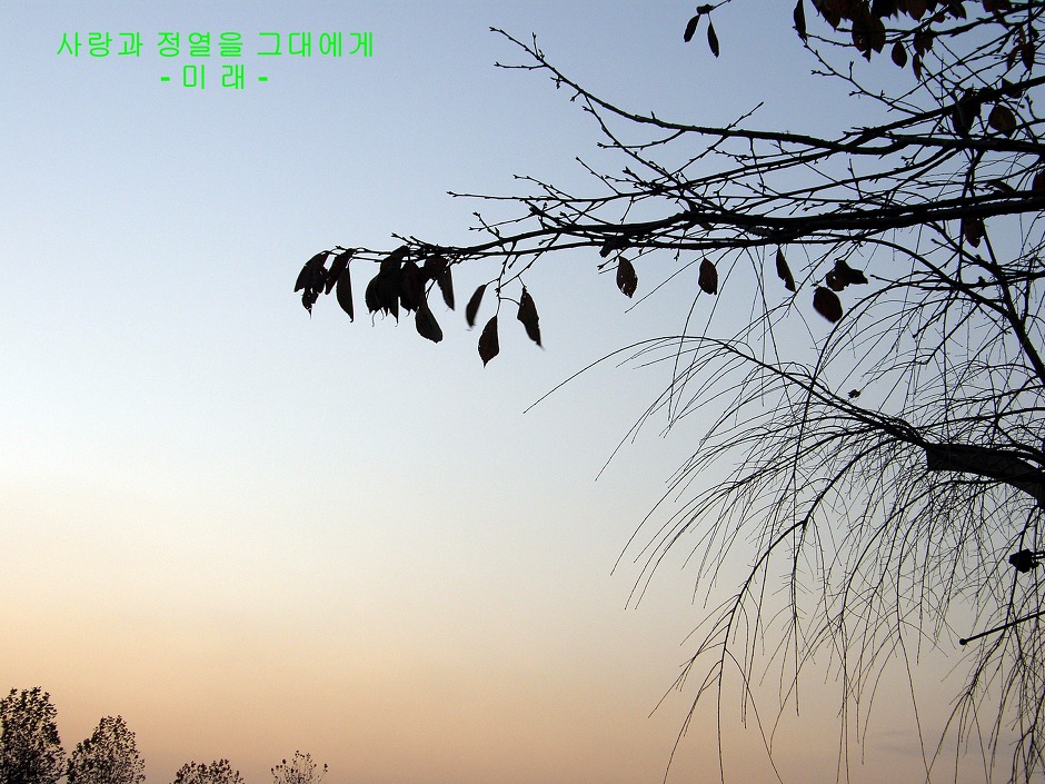  This winter, my true lov... 