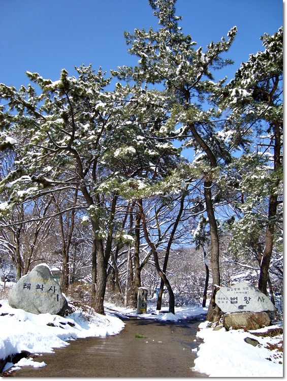 태학산자연휴양림 이미지