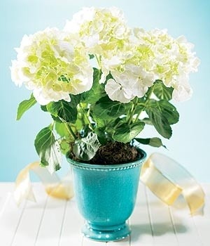 책을 읽기 위한 시간을 내는 법