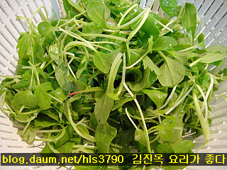 입맛 돋는 쟁반국수