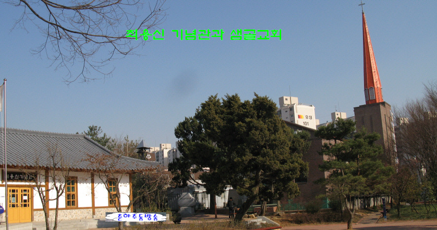 상록수 이미지