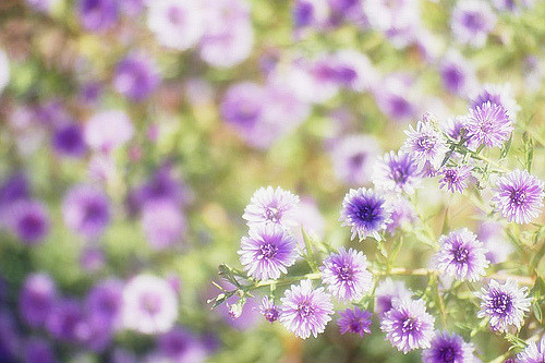 202A0C124A5B1B1B8D95A2