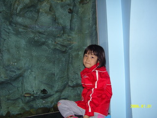 204A7E174BE77D4A6D9DA8