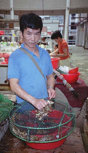 광동성 이미지