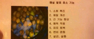 자연식품& 발효 효소 효능