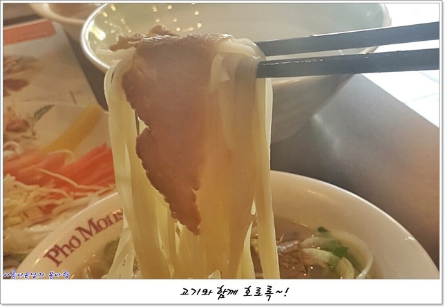 포몬스 이미지
