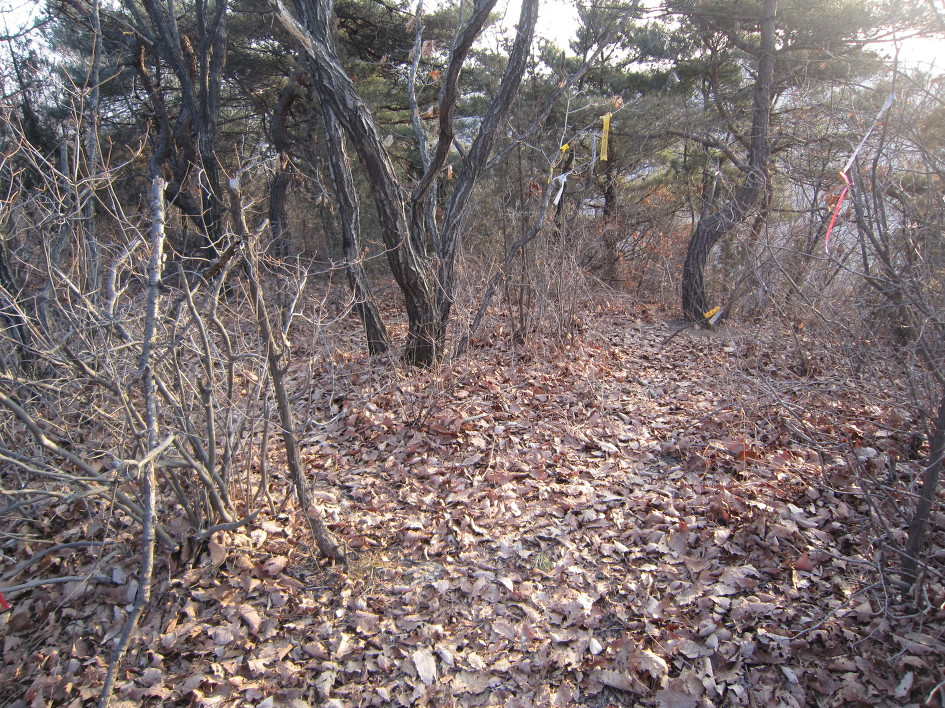 오두지맥 3구간 : (월롱역) - 광성C&P - 오두산 통일전망대 (3/3)