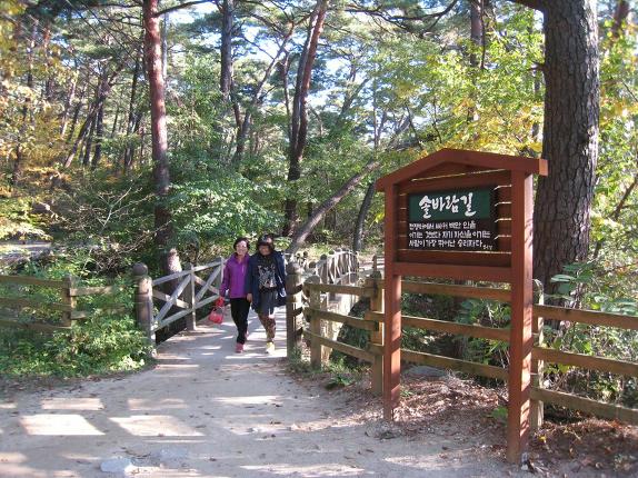 청도 가족여행