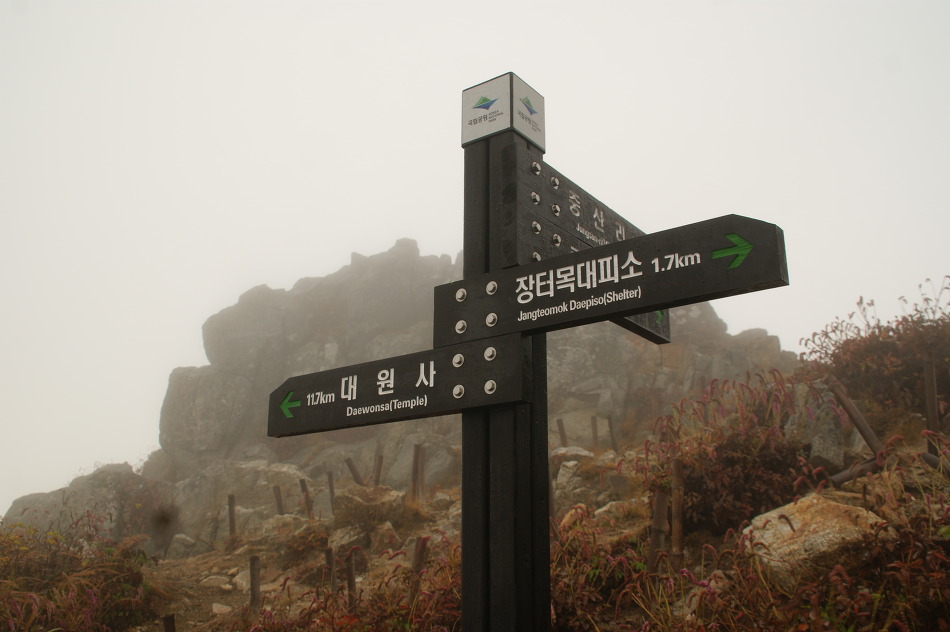 지리산 종주 세째날(장터목산장~천왕봉~유평리) : 지리산의 품에 빠져 무한행복을 느끼다(14.10. 3).