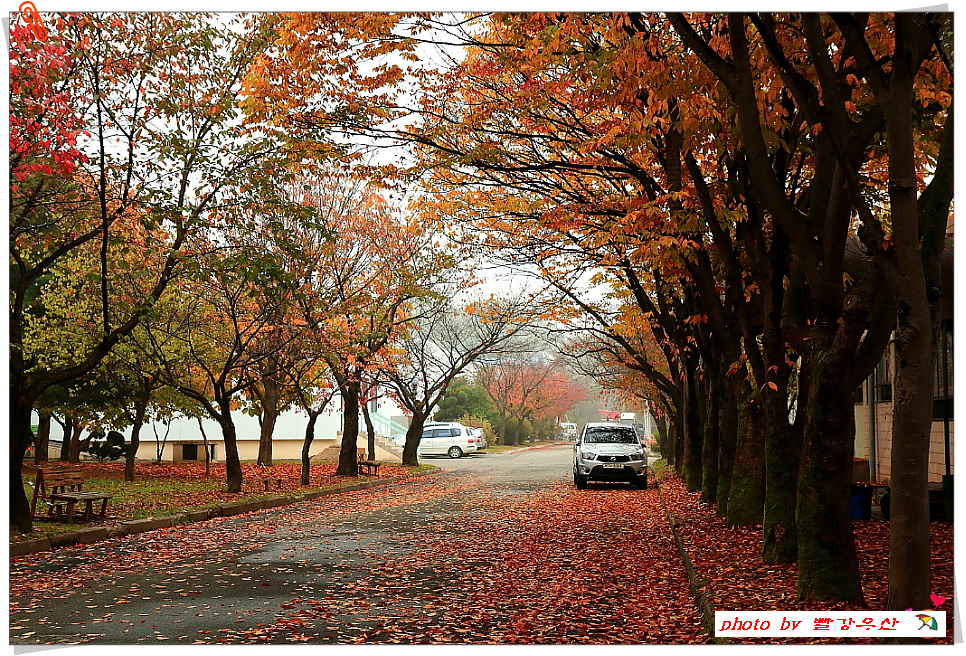 초등학교  교정에서
