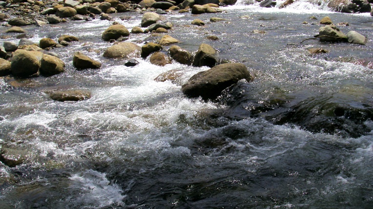 2202D13D572DB1B822157F