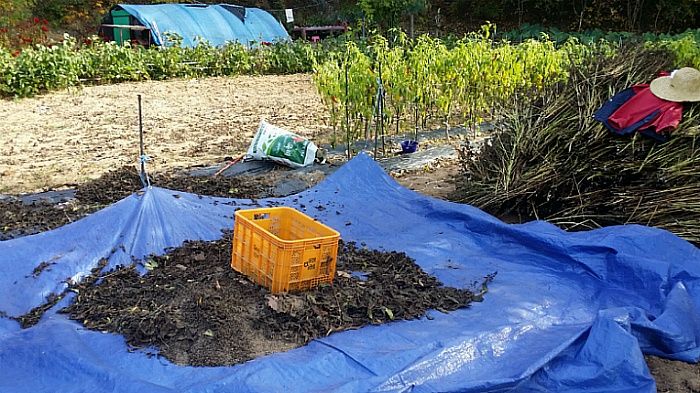 2016년 농사를 위한 2015년 농사일지