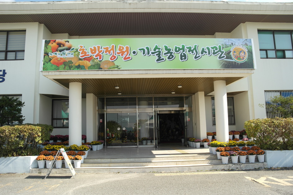 호박꽃식품 이미지