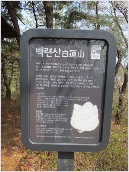 초록숲 이미지