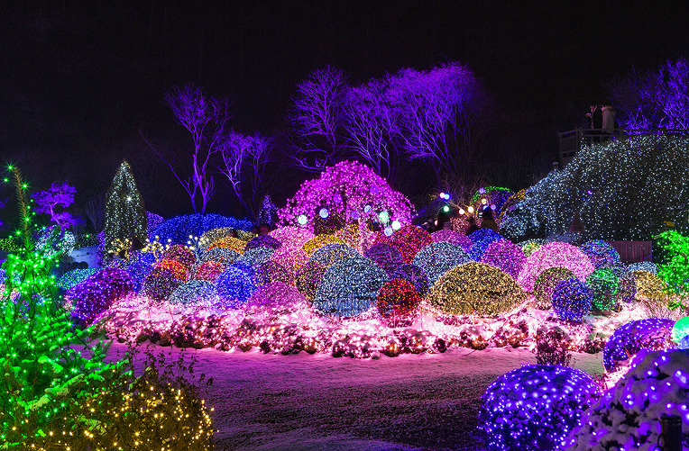 아침고요수목원