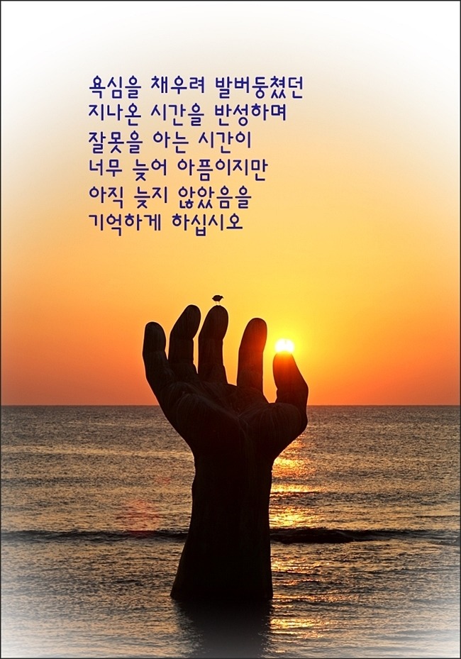 ---'12월의 기도'......(윤영초)