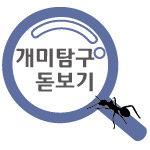 돋보기