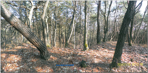 독조지맥3구간(문드러니고개-연대산-철갑산-신통산-중군이봉-합수점)