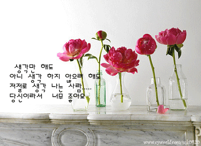 2328163D54F24FB814B729
