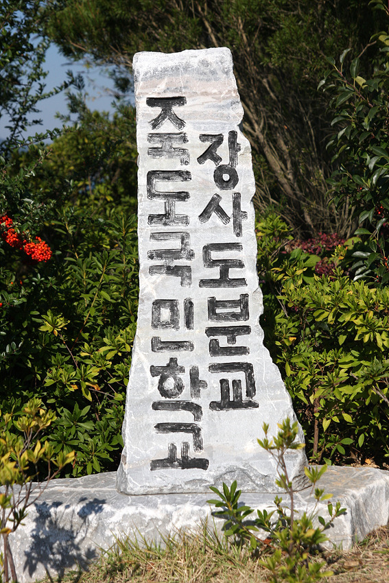 까멜리아 이미지
