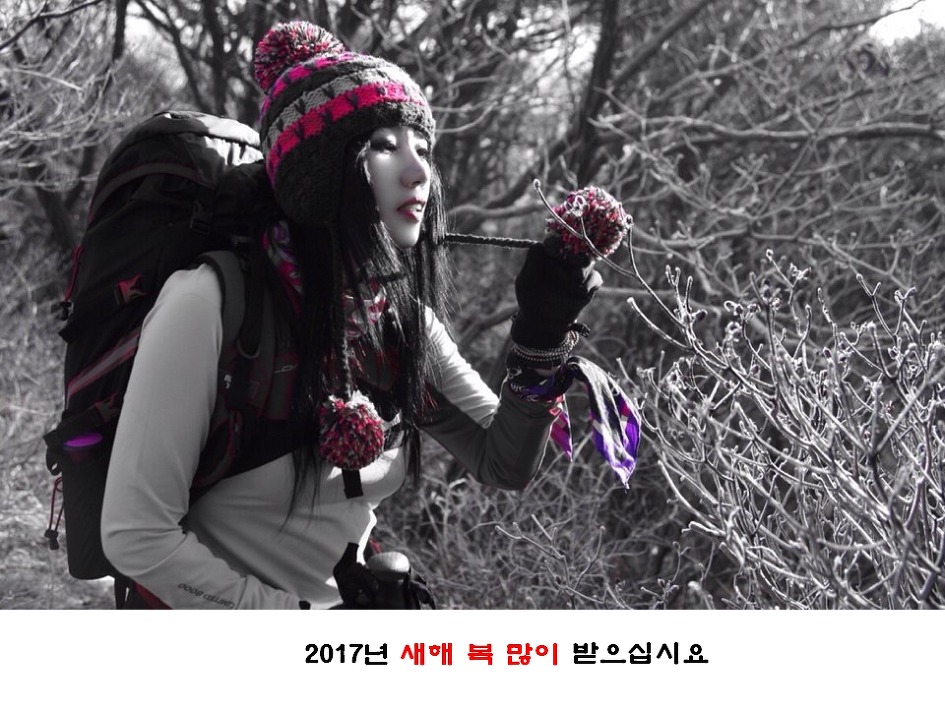 강원도 평창/선자령 겨울 눈꽃 트레킹【16년12월28일】