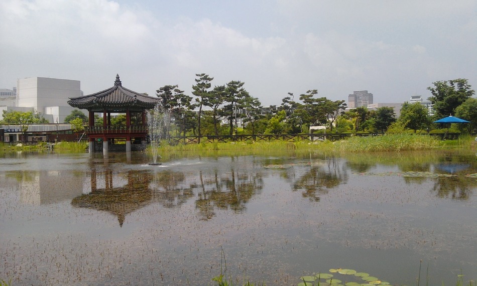 중년주부들의 애창곡 모음 20곡
