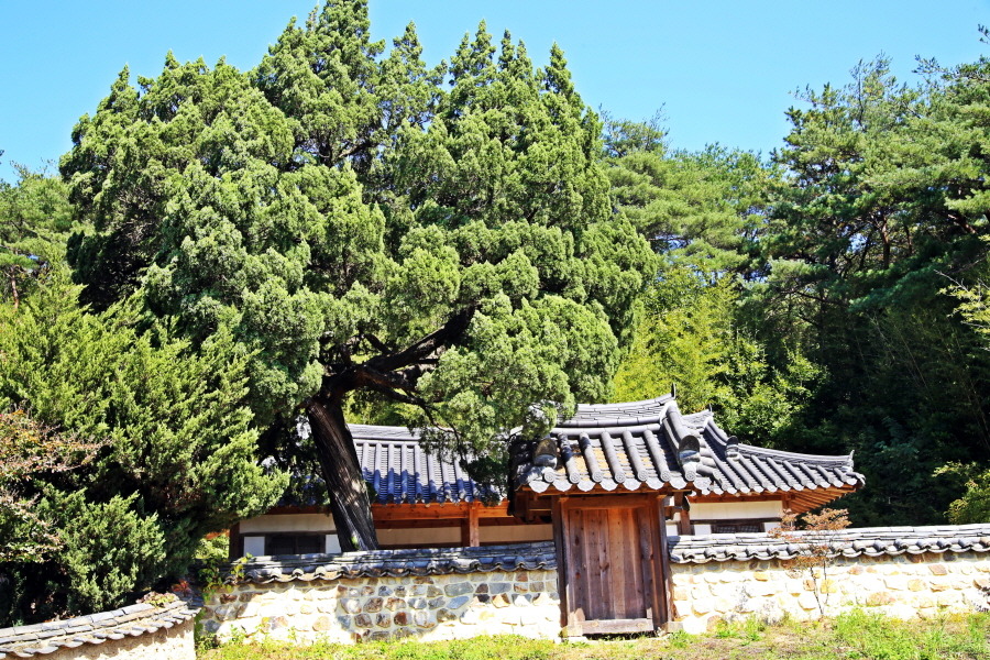도원정사