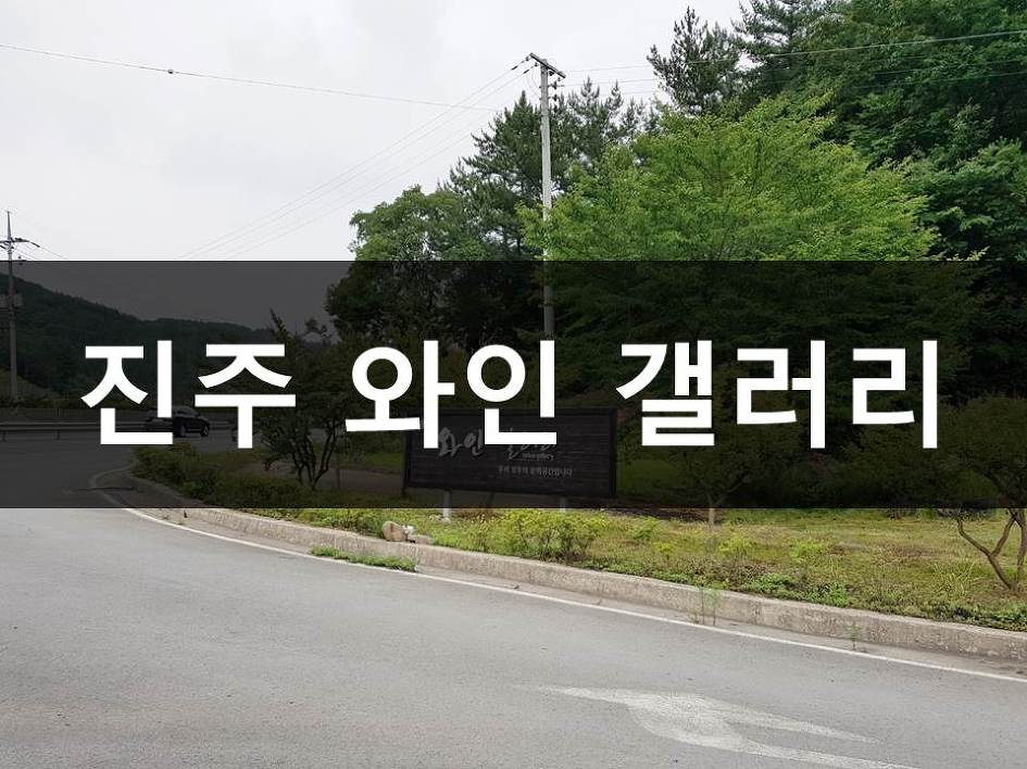 와인갤러리 이미지