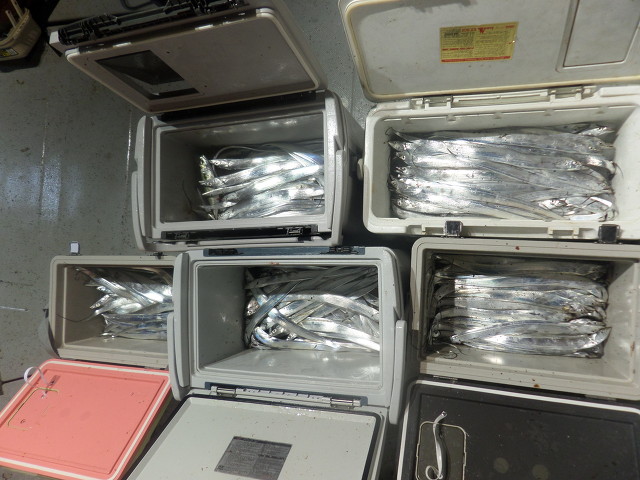 2502ED4A53EC91980EB2F1