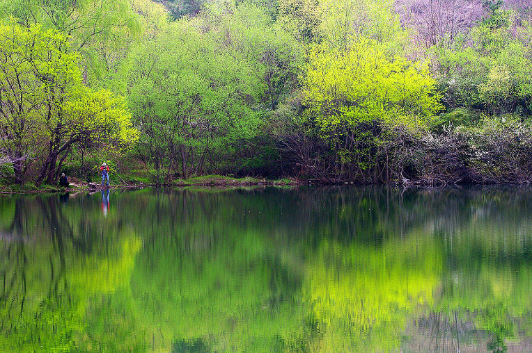 2510644F52A50E1E09B380