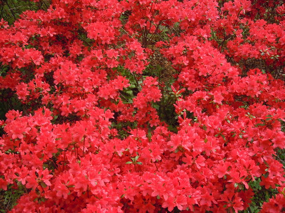 ����Ŭ���� �Ͻø� �̹����� ������ �� �ֽ��ϴ�