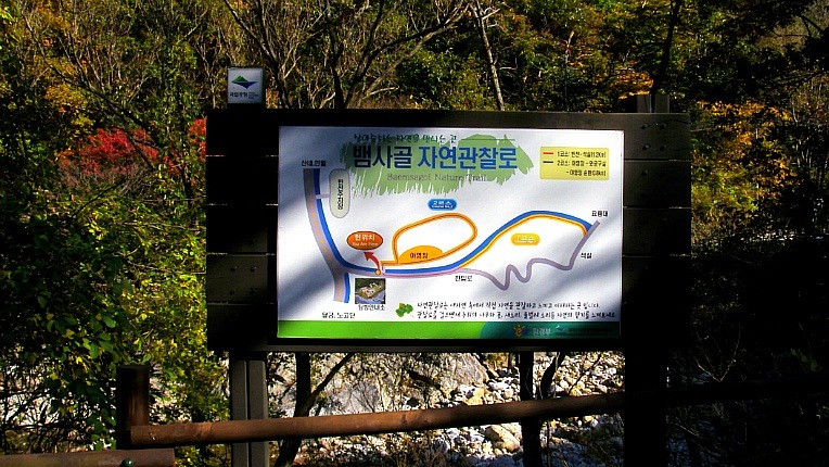 255C913E526D23320A4932