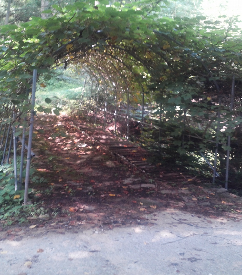  고향(봉화)