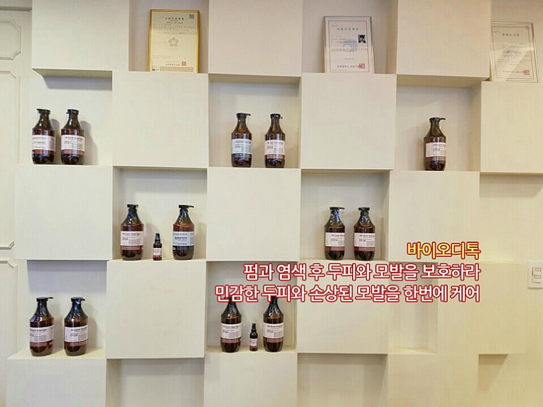 자르다헤어 이미지